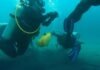 Efectuaron limpieza subacuática en Bahía de Cata