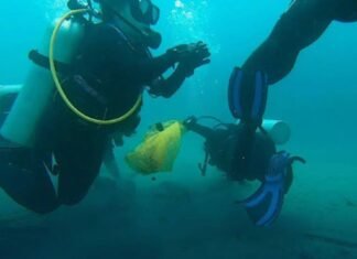 Efectuaron limpieza subacuática en Bahía de Cata