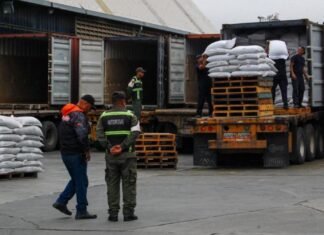 Emcoex exportará 500 toneladas de frijol mungo hacia Emiratos Árabes y Turquía