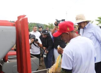 Maduro: «Lara registra crecimiento del 9.6% en producción agrícola»