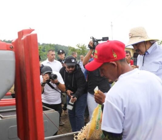 Maduro: «Lara registra crecimiento del 9.6% en producción agrícola»