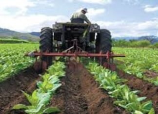 Bolsa de productos agropecuarios registra crecimiento