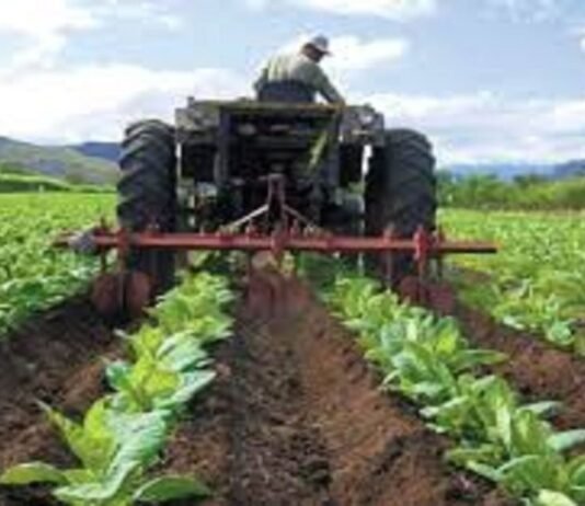 Bolsa de productos agropecuarios registra crecimiento