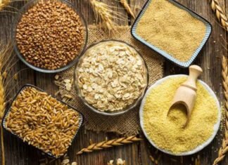 FAO: Producción de cereales alcanzará máximo histórico en 2024