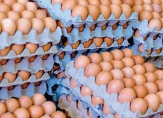 Fenavi: Incrementa producción de huevos y pollo expandiendo distribución en el país