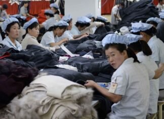 Informe ONU revela institucionalización de la esclavitud en Corea del Norte