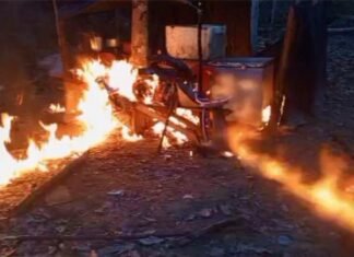 FANB destruye campamentos de depredación ambiental en Amazonas