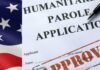 ¿EEUU recibirá masivas solicitudes para tramitar el Parole In Place?