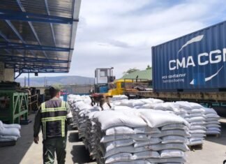 Lara exporta 150 toneladas de frijol mungo a los Emiratos Árabes Unidos