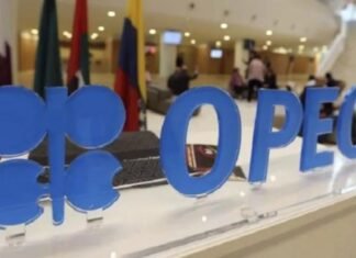 Venezuela reitera compromiso para fortalecer trabajos de desarrollo energético con la OPEP