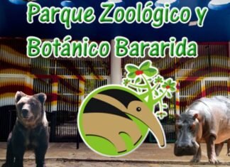 Realizarán actividades recreativas este #21Sep en el Parque Botánico y Zoológico Bararida