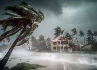 Cuatro muertos deja el paso del huracán Helene en Georgia