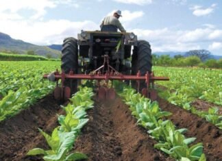 FAO estima que Venezuela tiene capacidad de producir alimentos para 40 millones de personas