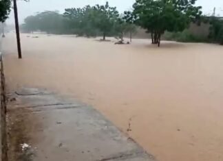 Activan Sistema de Gestión de Riesgo tras el desbordamiento de quebradas por lluvias en Lara