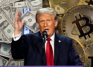 Cotizan en alza el dólar y criptomonedas tras victoria de Donald Trump