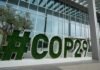 Papa pide a la COP29 contribución efectiva a protección del planeta
