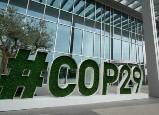 Papa pide a la COP29 contribución efectiva a protección del planeta