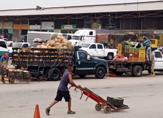 Ingresan en Mercabar más de 72 Mil toneladas de alimentos en octubre y noviembre 2024