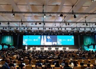 COP29 propone que los países ricos paguen 250.000 millones de dólares al año al Sur Global