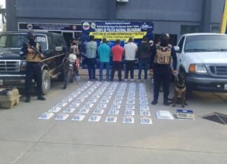 Incautan más de 60 panelas de droga en Lara