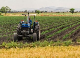 Fedeagro alerta sobre la baja rentabilidad en el campo venezolano ante diferencial cambiario