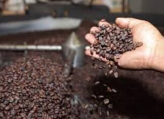 Caficultores piden revisar precios de agroindustria para disminuir pérdidas