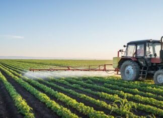 Fedeagro: El financiamiento es medular para que el sector salga del estancamiento