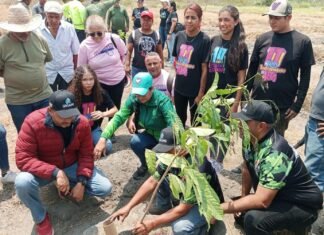 Activan jornada especial de reforestación en El Valle del Turbio en Lara
