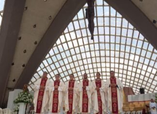 Arzobispo de Barquisimeto ordena seis nuevos Sacerdotes para servir a la comunidad