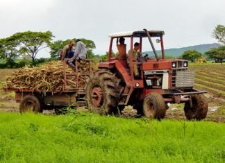 Agricultores de Portuguesa solicitarán mejoras en la distribución del gasoil para labores de siembra