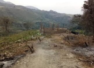 Ambientalistas de Lara piden declarar emergencia ambiental por daños a la zona semiárida