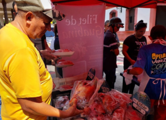 Realizan Feria del Pescado este Jueves Santo en la Avenida Venezuela de Barquisimeto