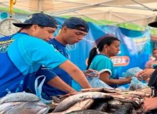 Distribuyen más de 5 millones de proteínas pesqueras en el país