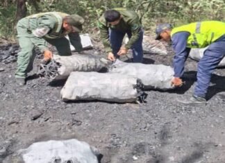 Incautan mil 440 kilos de carbón vegetal de una extracción ilícita en Lara
