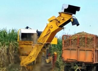 Procesaron más de tres millones de toneladas de caña en Portuguesa