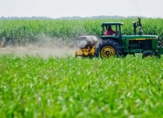 Fedeagro señaló que sector agrícola necesita inversión para actualizar maquinarias