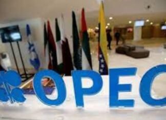 OPEP+ celebra primera reunión de 2025 con mercado atento a aumentos de producción