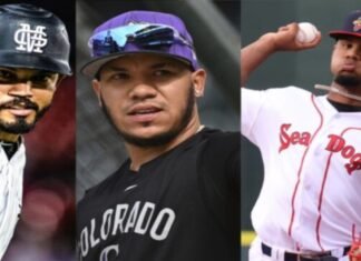 Tigres y Magallanes realizaron un intercambio con ocho jugadores incluidos