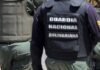 Incautan entre Barinas y Táchira droga transportada de manera intraorgánica