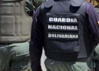 Incautan entre Barinas y Táchira droga transportada de manera intraorgánica