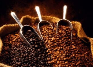 Exportan café desde Lara hacia Europa y Estados Unidos