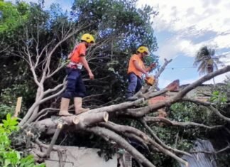 Desprendimiento de taludes y afectación de vialidad por intensas lluvias en Lara