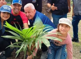 Reforestan con chaguaramos y araguaneyes el Parque del Este en Barquisimeto