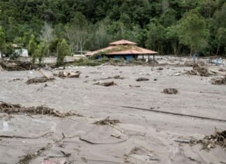 Fedeagro: Lluvias ocasionaron pérdida total en 150 hectáreas de tierras cultivables en región andina