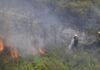 Bomberos dan por estabilizado incendio de Cataluña tras afectar a 3.321 hectáreas
