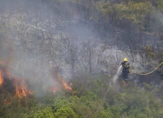 Bomberos dan por estabilizado incendio de Cataluña tras afectar a 3.321 hectáreas