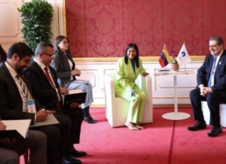 Venezuela fortalece alianzas energéticas con el Foro de Países Exportadores de Gas en Viena