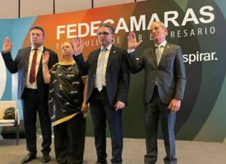 «El Plan Nacional de Inversión y Empleo es un hecho”: Felipe Capozzolo es el nuevo presidente de Fedecámaras