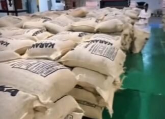 Exportación de café larense fortalece la presencia de Venezuela en mercados internacionales