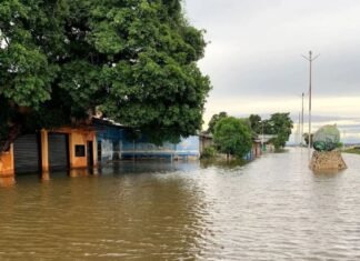 Nueva crecida del río Orinoco mantiene en alerta roja a varios sectores de Bolívar y Monagas